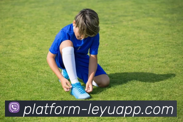 App Interface Preview